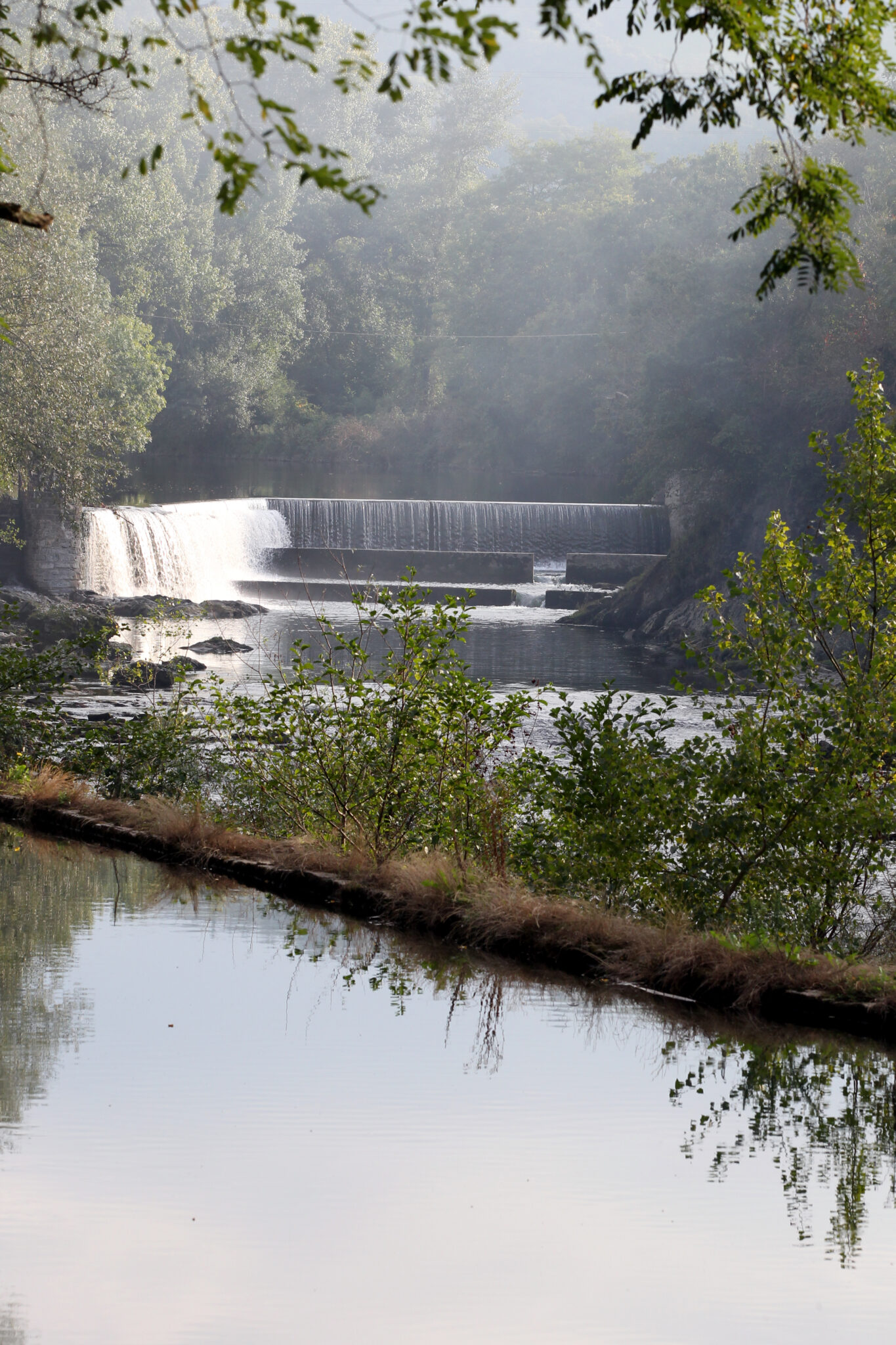 Tribune biodiversité Geneviève Viguier