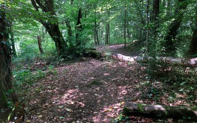 Participez à l’enquête géante à la cité de Marèges !