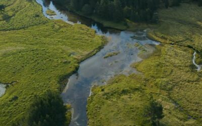 La SHEM soucieuse de la biodiversité