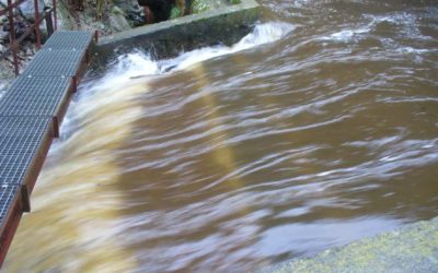 Ecologie : la SHEM, soucieuse de l’environnement