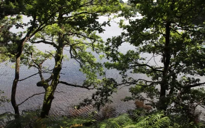 Découvrez le site du barrage des Galens en Aveyron