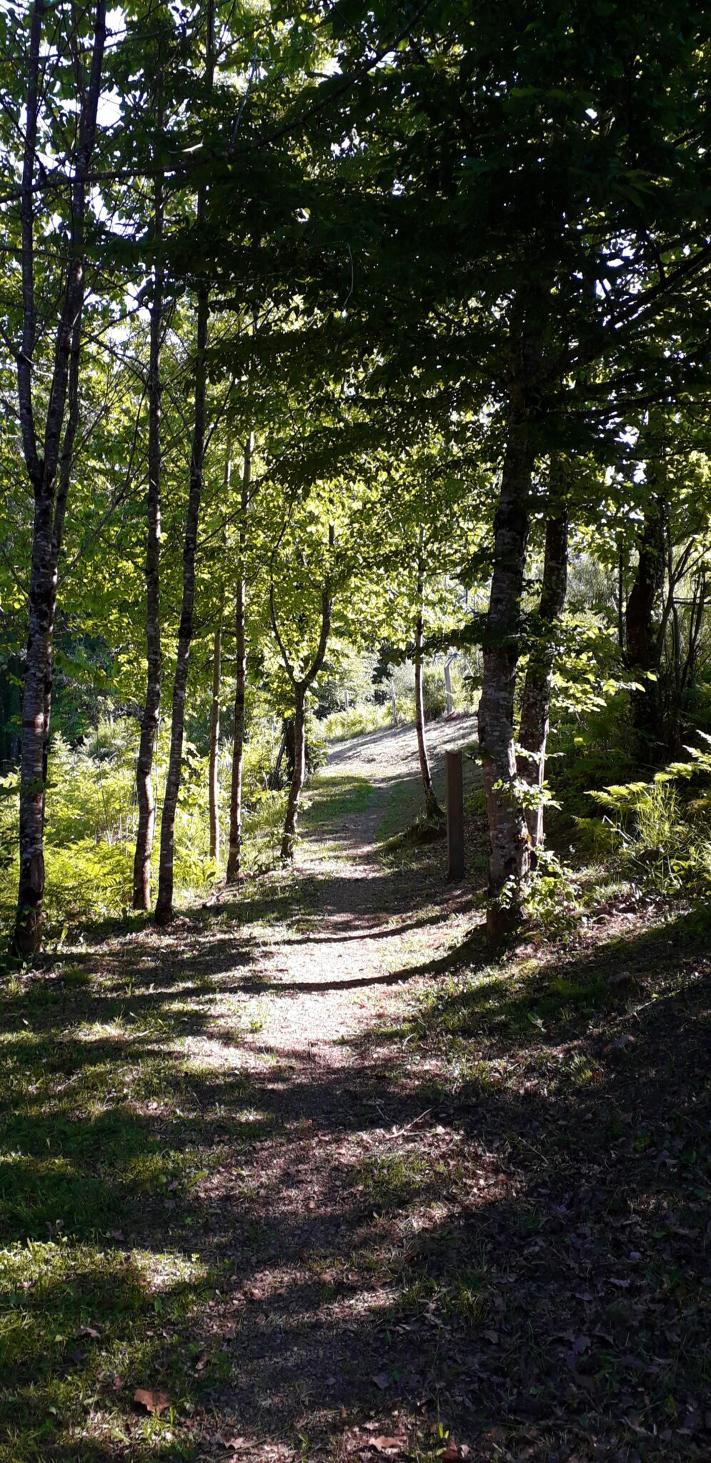 Jeux de pistes pour la famille au belvédère du barrage de Marèges